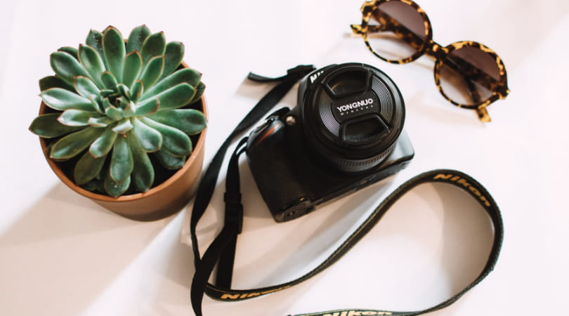 ▷ Cómo llevar más seguidores a Instagram y Pinterest usando Milotree este 2020