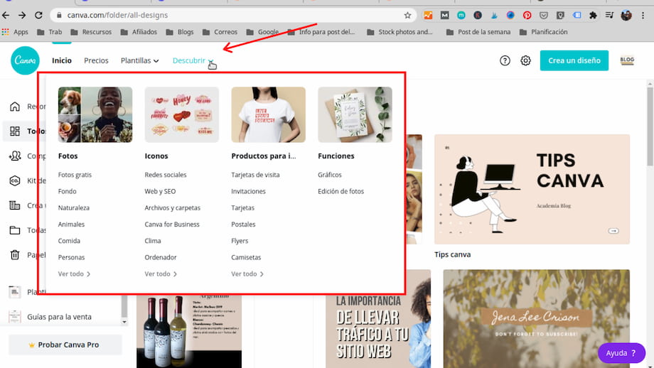 descubrir en canva (1)