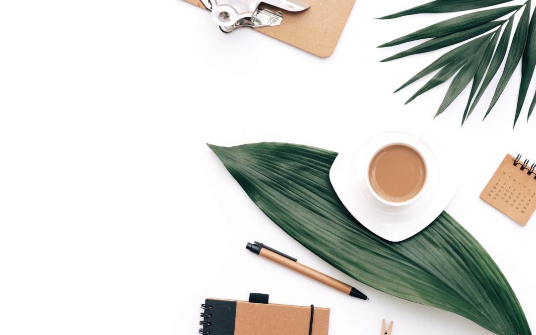 Cómo usar Tailwind Create – Crea y programa Pins Pinterest