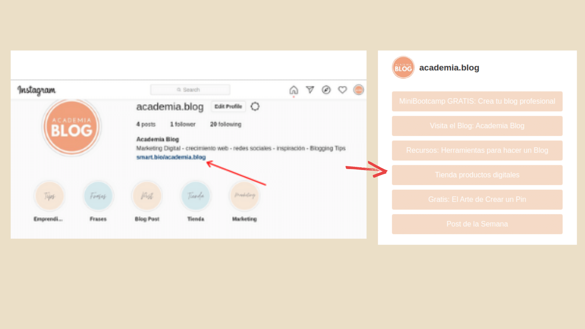 Programa Hashtag en el primer comentario (1) pagina smartbio ofrece tailwindapp perfil instagram academia blog
