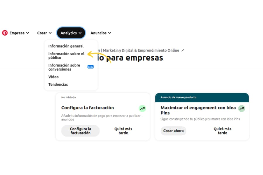 información sobre el público pinterest 