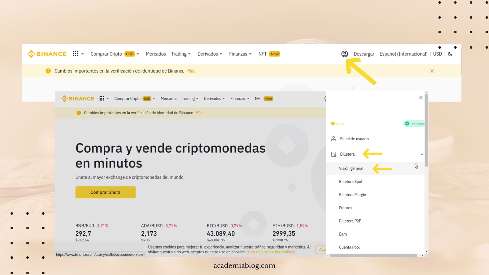 pagos binance (1) billetera binance